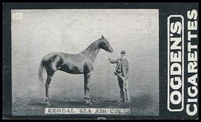 02OGID 101 Kendal Sea Air Colt.jpg